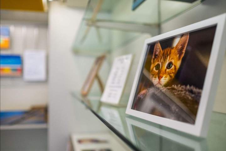 PHOTO MAYER MATHIS (25)